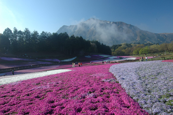 朝もやの武甲山